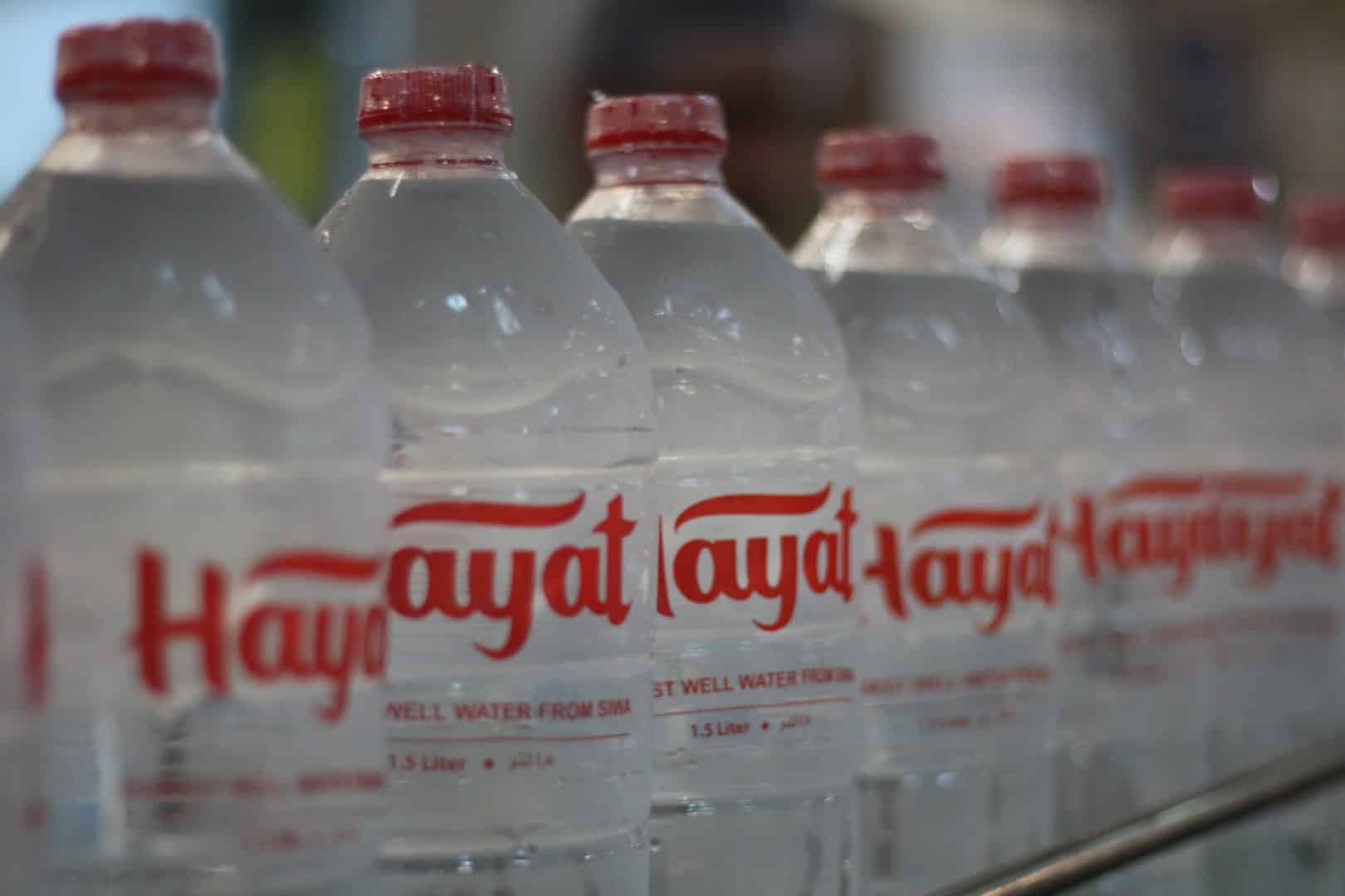 Rows of Hayat bottles on the production line