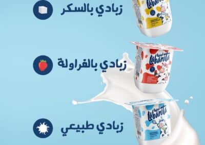 Labnita Yogurt 1 Large