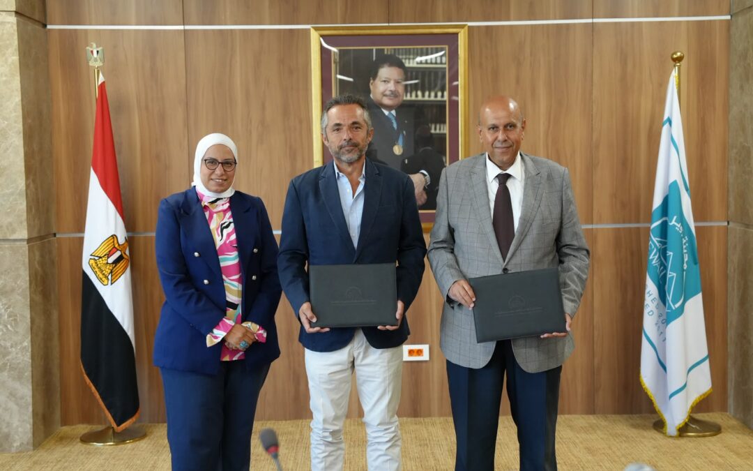 Zewail City Scholarships (2026)